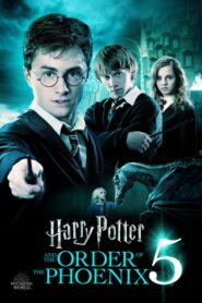 Harry Potter i Zakon Feniksa