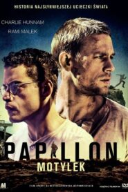 Papillon. Motylek